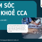 Ảnh hiện mô tả chung về chương trình CCA 2025