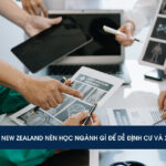 Du học New Zealand nên học ngành gì