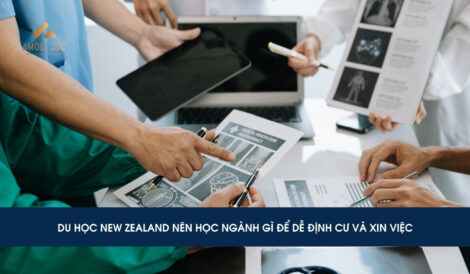 Du học New Zealand nên học ngành gì