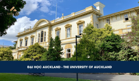 Đại học Auckland