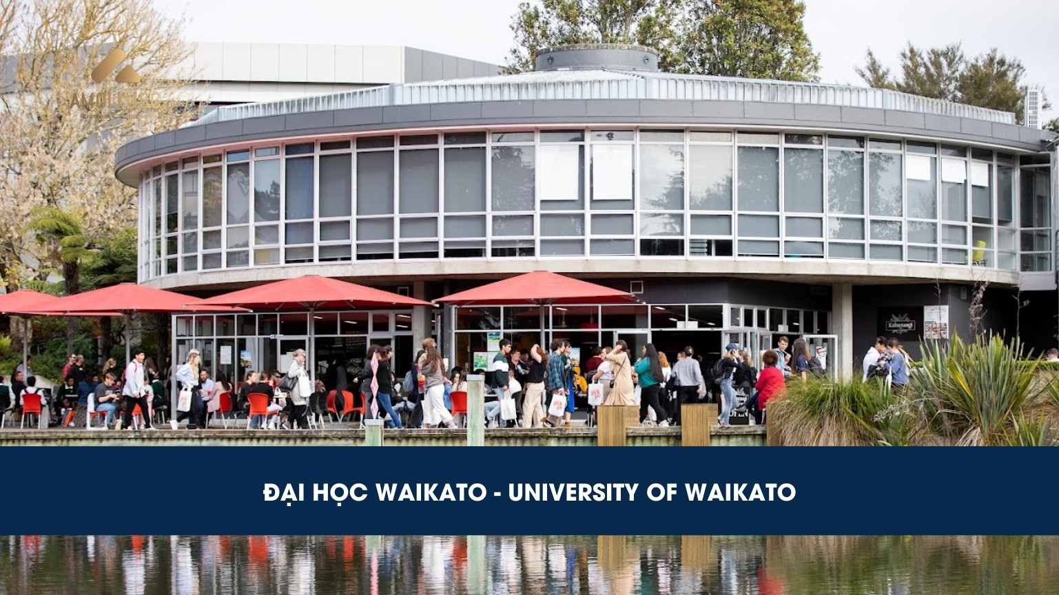 Đại học Waikato