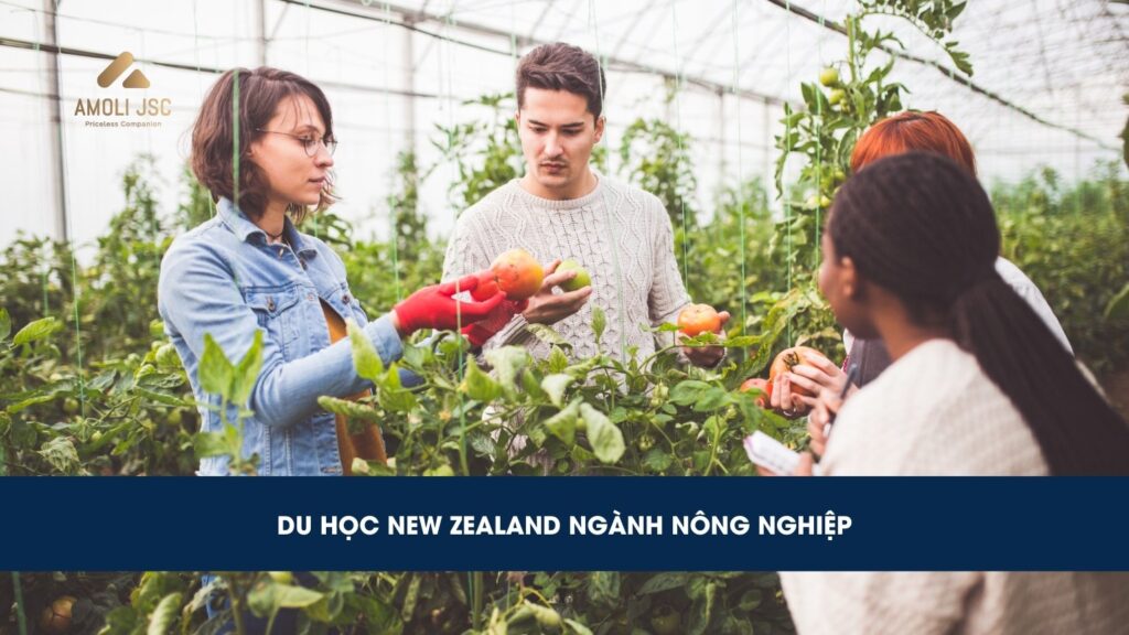 Du học New Zealand ngành nông nghiệp: Điều kiện, chi phí,…
