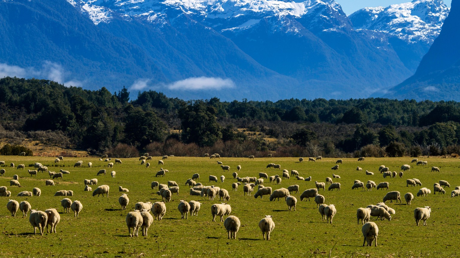 Vì sao nên du học New Zealand ngành nông nghiệp