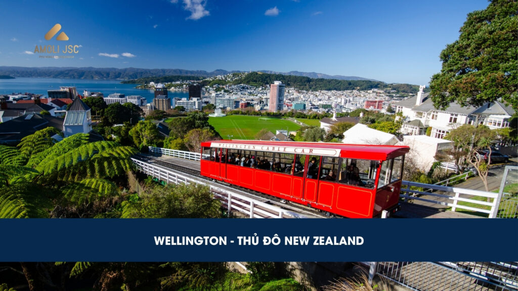 Thủ đô New Zealand – Wellington: Thành phố lộng gió nhất thế giới