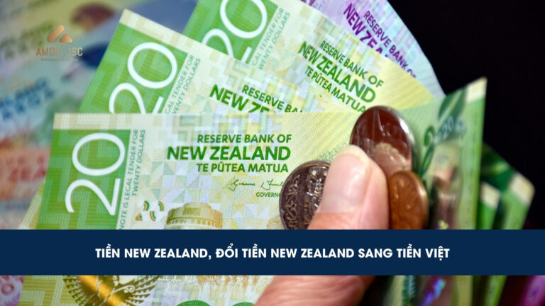 Tỷ giá chuyển đổi đô-la New Zealand (NZD) – tiền New Zealand là bao nhiêu?