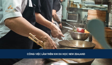 Việc làm thêm khi du học New Zealand