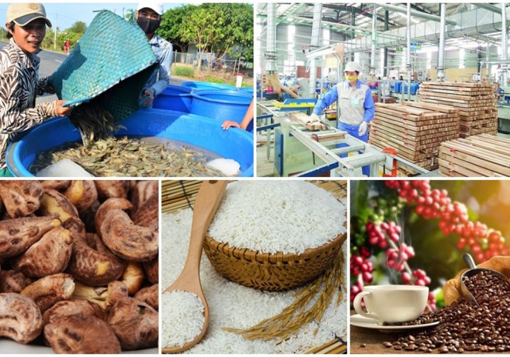 Những mặt hàng bị cấm và hạn chế gửi sang New Zealand