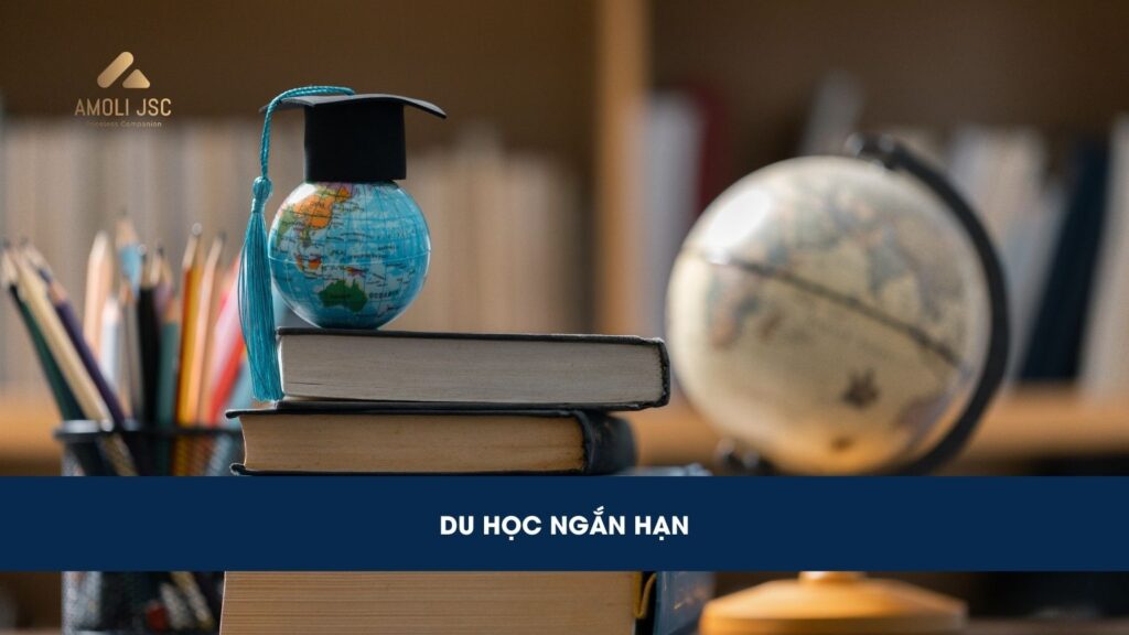 Chương trình du học ngắn hạn: Điều kiện, chi phí, học bổng