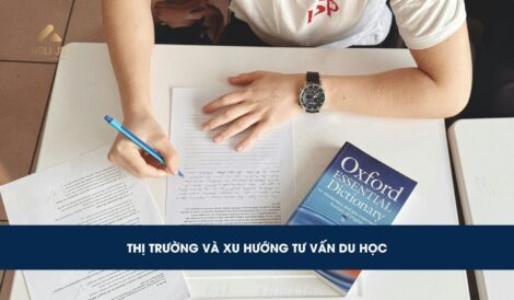 Thị trường tư vấn du học hiện nay